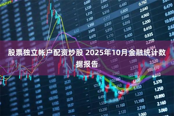 股票独立帐户配资炒股 2025年10月金融统计数据报告